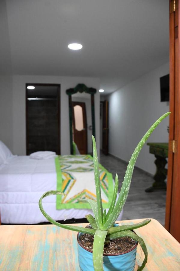 Paisa Territory Jardin Hotel Luaran gambar